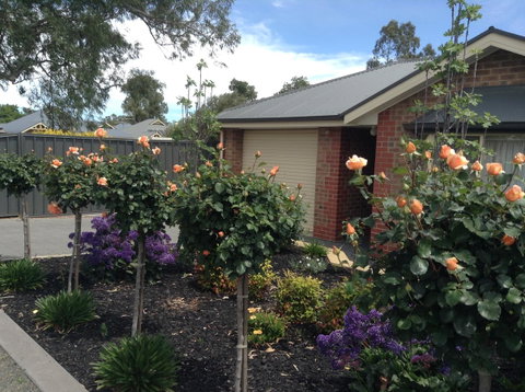 C And C Tanunda - Your Accommodation 1