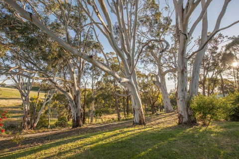 Discovery Parks - Hahndorf - Your Accommodation 4