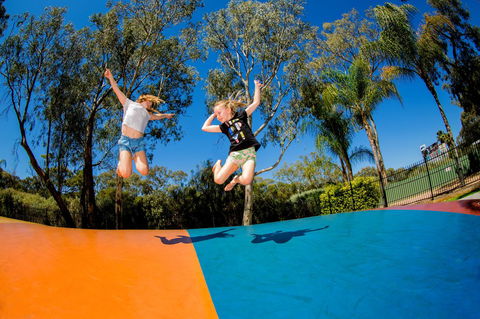 BIG4 Renmark Riverfront Holiday Park - Your Accommodation 37