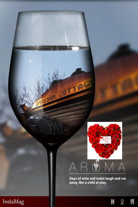 Possum Cottage - Your Accommodation 11