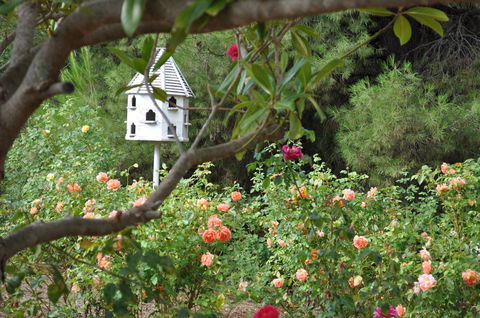 The Lyndoch Motel - Your Accommodation 2