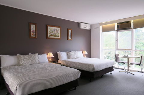 The Lyndoch Motel - Your Accommodation 13