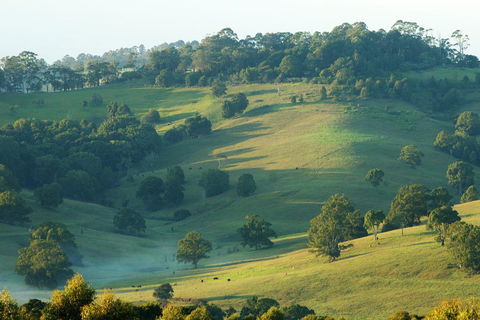 SummerHills Retreat Byron Bay - Your Accommodation 20
