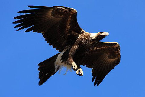 Eagles Range - Your Accommodation 16