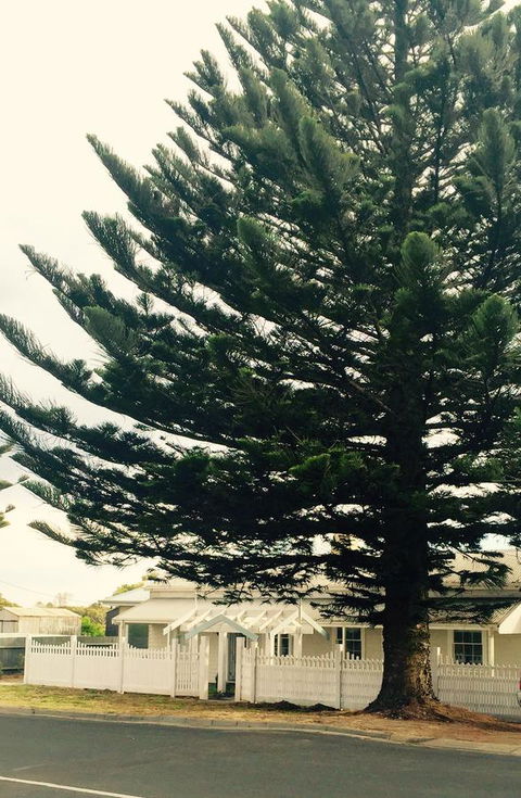 Railway Cottage In Beachport - Your Accommodation 13