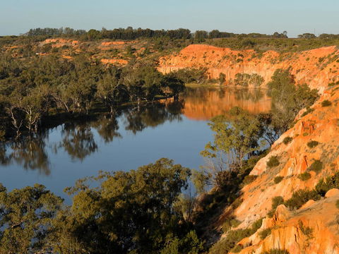 Echo Holiday Parks - Renmark - Your Accommodation 11