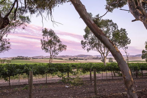 Jasmine\'s Barossa Valley Cottage - Your Accommodation 19