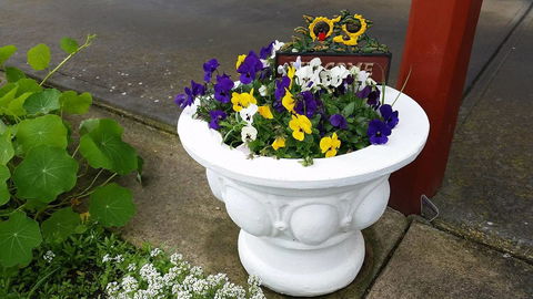 Addies Place Goolwa - Your Accommodation 10