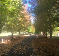 A peaceful cabin in the country - Your Accommodation