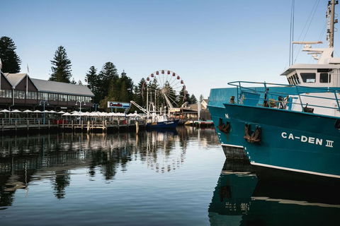 Oceanside 23 - Your Accommodation 25