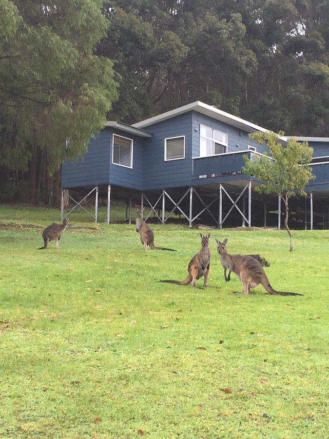 Denmark WA Your Accommodation