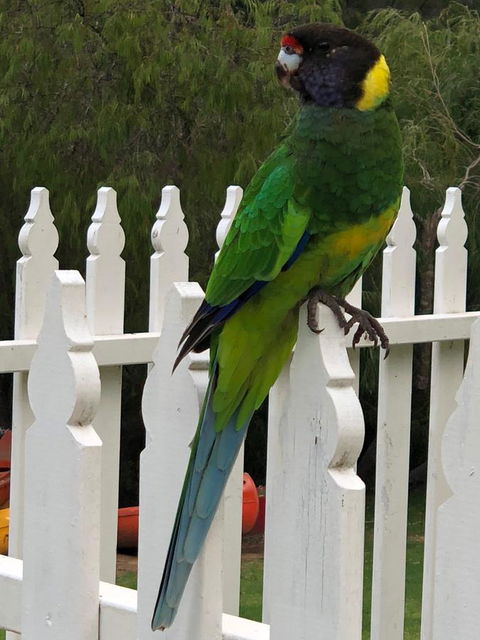 Riverview Tourist Park - Your Accommodation 20