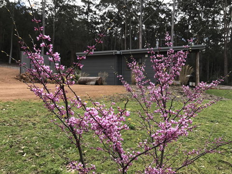 The Floating Forest - Your Accommodation 15