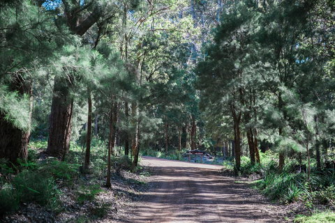 The Floating Forest - Your Accommodation 30