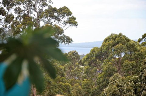 The Floating Forest - Your Accommodation 8