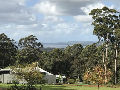 The Floating Forest - Your Accommodation 2