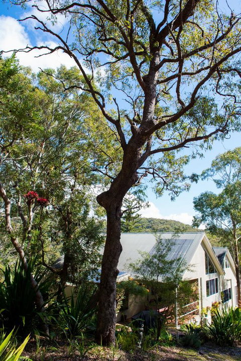 Nelson Bay Bed & Breakfast - Your Accommodation 42
