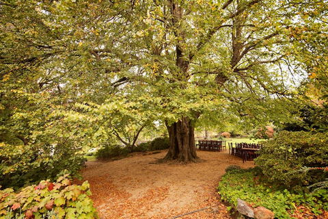 Nesuto Leura Gardens (formerly Waldorf Leura Gardens Resort) - Your Accommodation 1