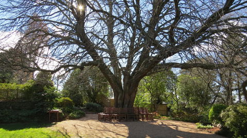Nesuto Leura Gardens (formerly Waldorf Leura Gardens Resort) - Your Accommodation 3
