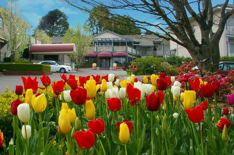 Nesuto Leura Gardens (formerly Waldorf Leura Gardens Resort) - Your Accommodation 0