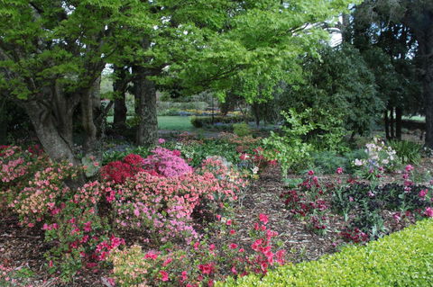 Nesuto Leura Gardens (formerly Waldorf Leura Gardens Resort) - Your Accommodation 2