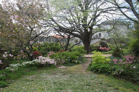 Nesuto Leura Gardens (formerly Waldorf Leura Gardens Resort) - Your Accommodation 4