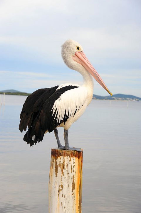 Hotel Nelson - Your Accommodation 29