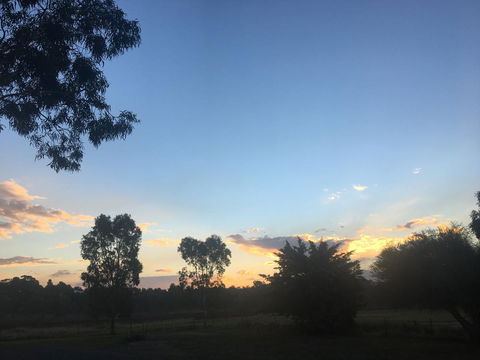 Junee Motor Inn - Your Accommodation 26