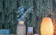 Apartments In Pyrmont - thumb 21