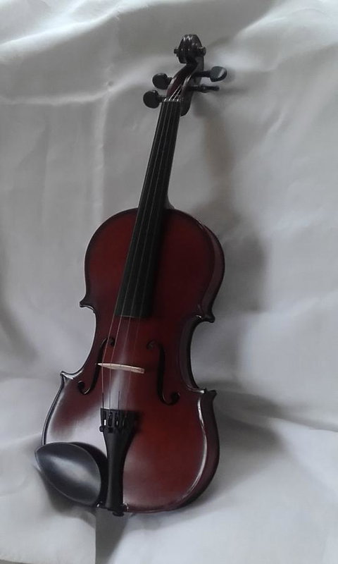 182 Anson Street - Your Accommodation 2