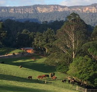 Amaroo Valley Springs - Your Accommodation