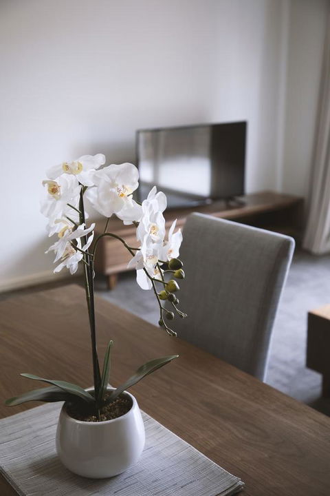 Quest Wagga Wagga - Your Accommodation 11