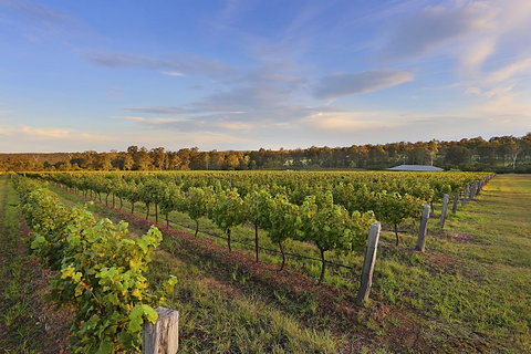 Ironstone Estate Lovedale - Your Accommodation 31