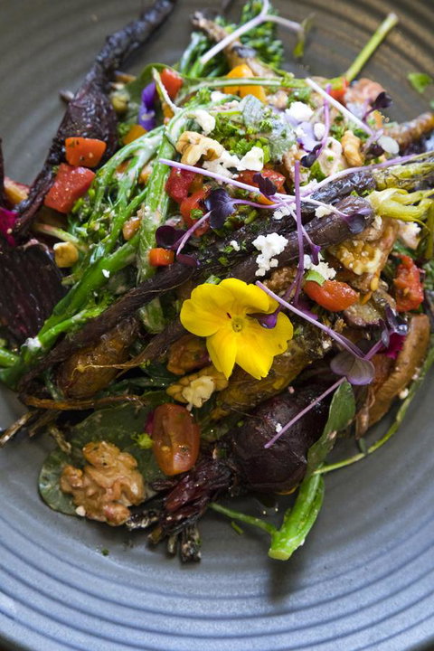 Sage Hotel Wollongong - Your Accommodation 21