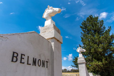 Belmont - Your Accommodation 4