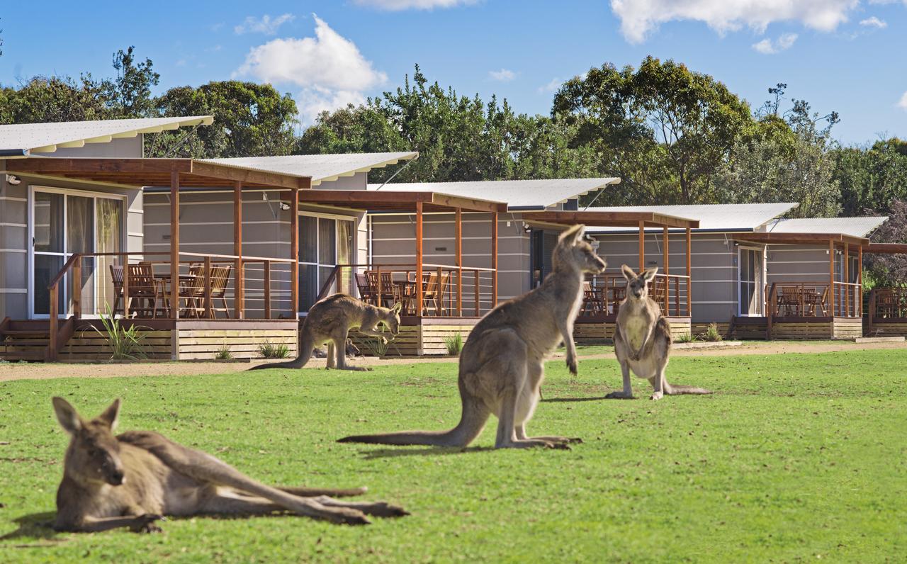 Your Accommodation