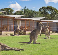 Discovery Parks  Pambula Beach - Your Accommodation