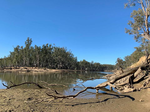 Corowa Bindaree Holiday Park - Your Accommodation 1