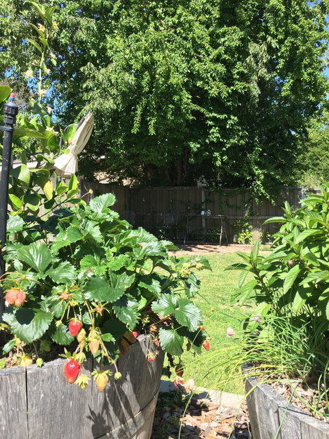 99 Hill Street Apartments - Your Accommodation 24