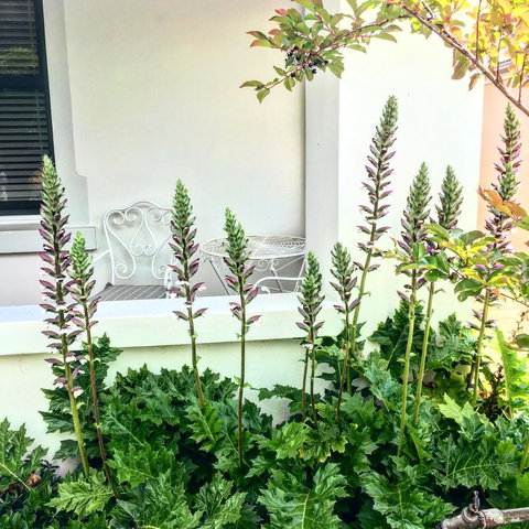 99 Hill Street Apartments - Your Accommodation 20