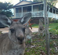 Bush  Bay Cottage - Your Accommodation