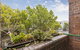 Sydney Harbour Bed And Breakfast - thumb 10