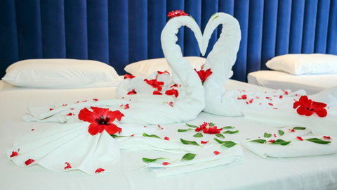 Luxury Home Hotel Next To Darling Harbour - Your Accommodation 16