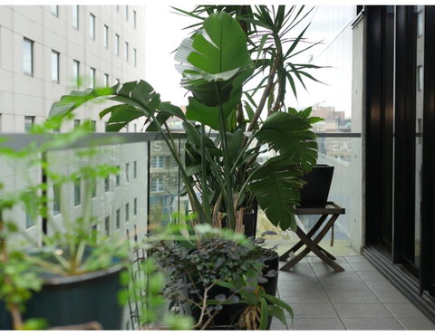 Urban Loft Close To Sydney Hot Spots - Your Accommodation 11