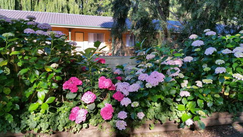 Moruya Motel - Your Accommodation 28