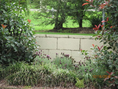 Moruya Motel - Your Accommodation 16
