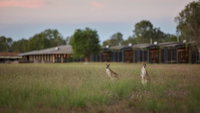 Book Point Stuart Accommodation Vacations Your Accommodation Your Accommodation