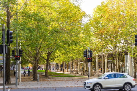 Highgate Executive Apartment City Walk Canberra - Your Accommodation 37