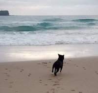 Breakers at Mudjimba Beach - Your Accommodation