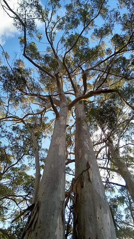 Broxholme B&B - Your Accommodation 3